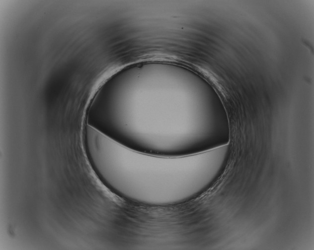 X0000094961379200711291118