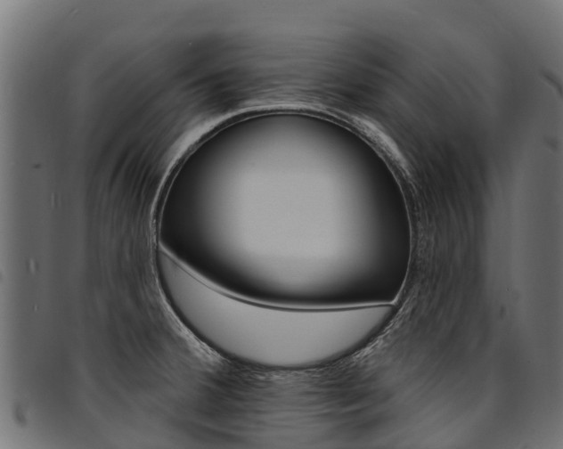 X0000094961380200711291118