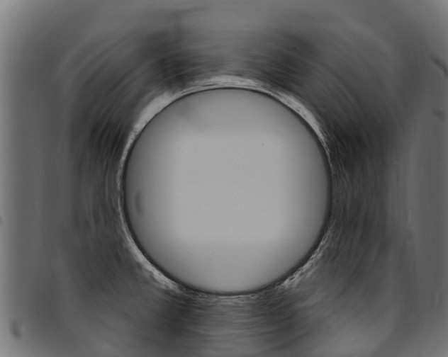 X0000094961381200711291118