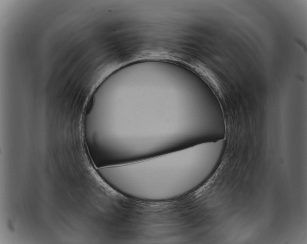 X0000094961382200711291118