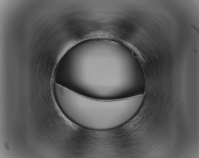 X0000094961383200711291118