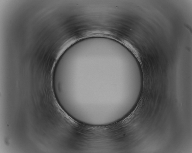 X0000094961384200711291118