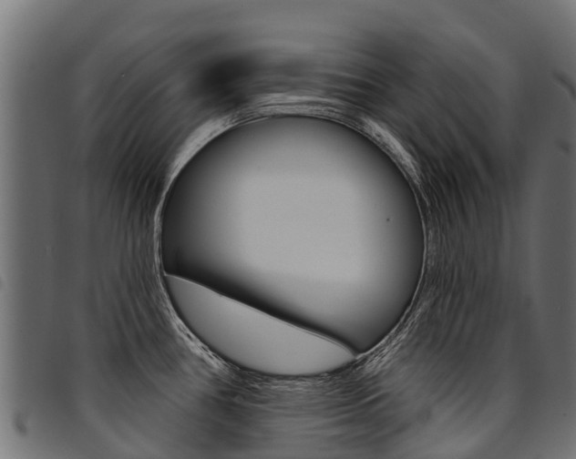 X0000094961386200711291118
