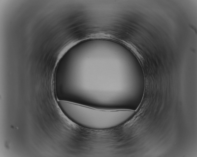 X0000094961387200711291118