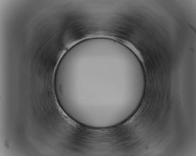 X0000094961388200711291118