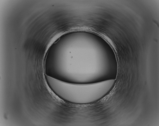 X0000094961389200711291118