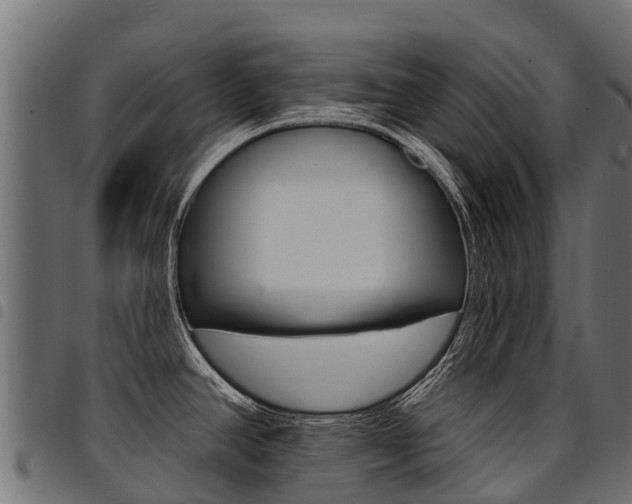 X0000094961390200711291118