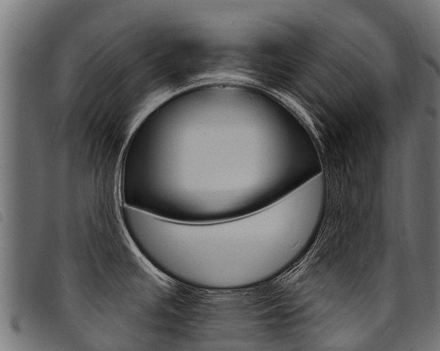 X0000094961391200711291118