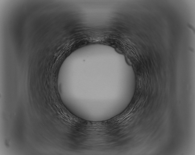 X0000094961393200711291117
