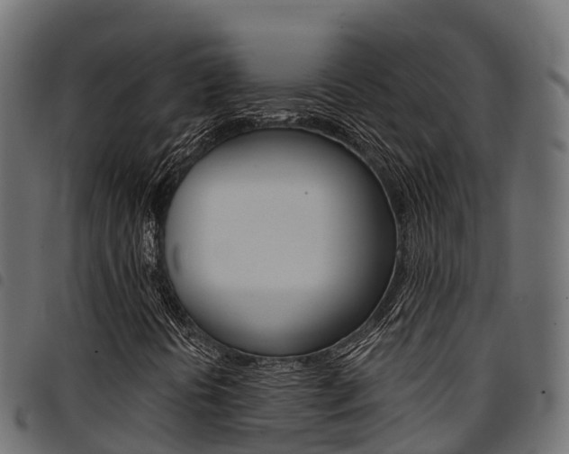 X0000094961394200711291117