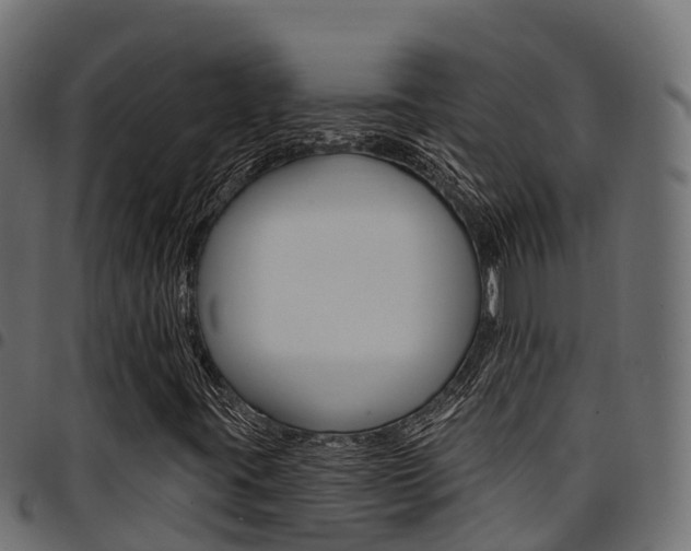 X0000094961395200711291117