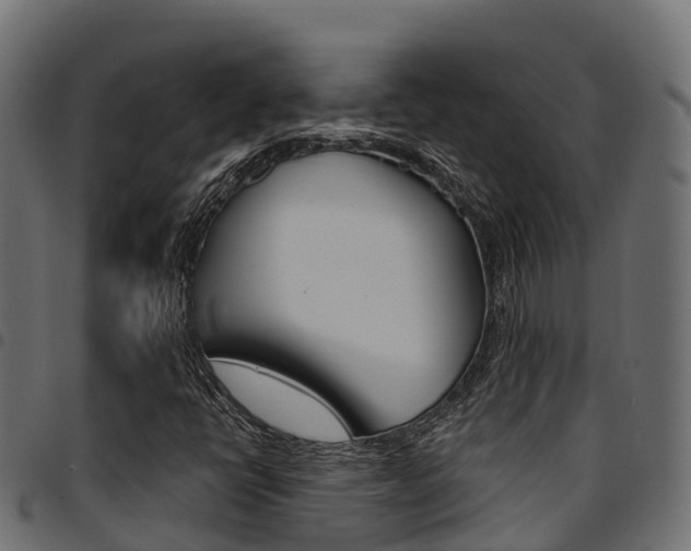 X0000094961398200711291117