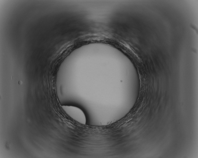 X0000094961399200711291117