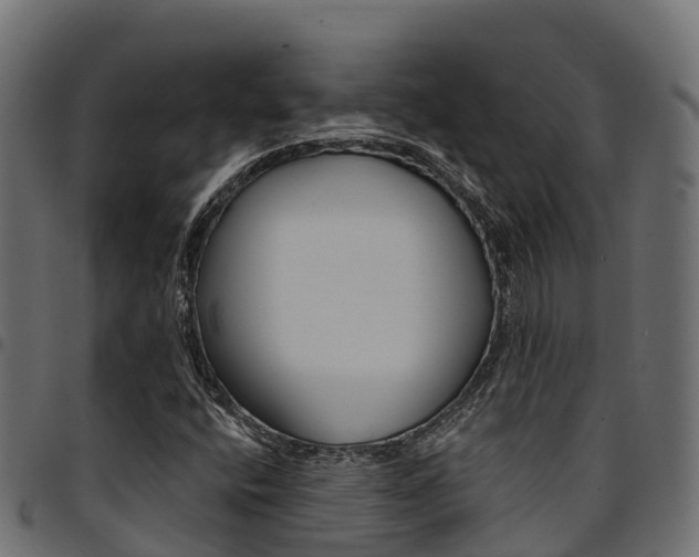 X0000094961400200711291117