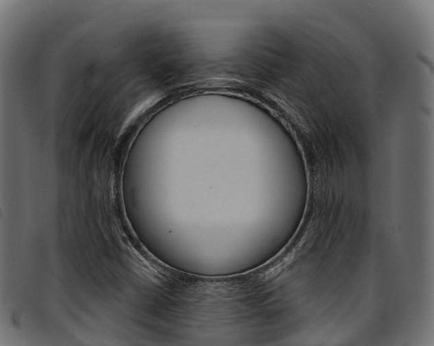 X0000094961402200711291117
