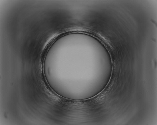 X0000094961408200711291117
