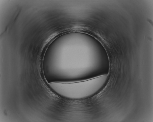 X0000094961410200711291117