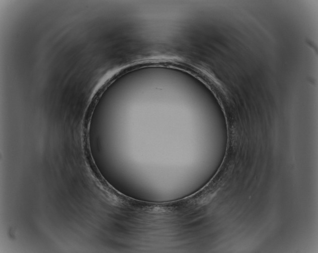 X0000094961412200711291117