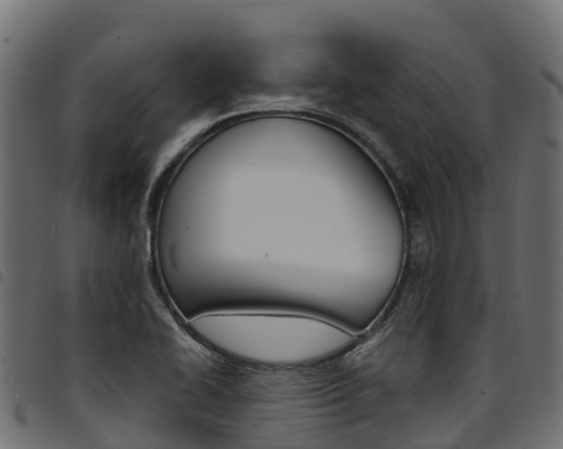 X0000094961414200711291117