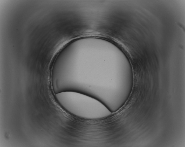 X0000094961415200711291117