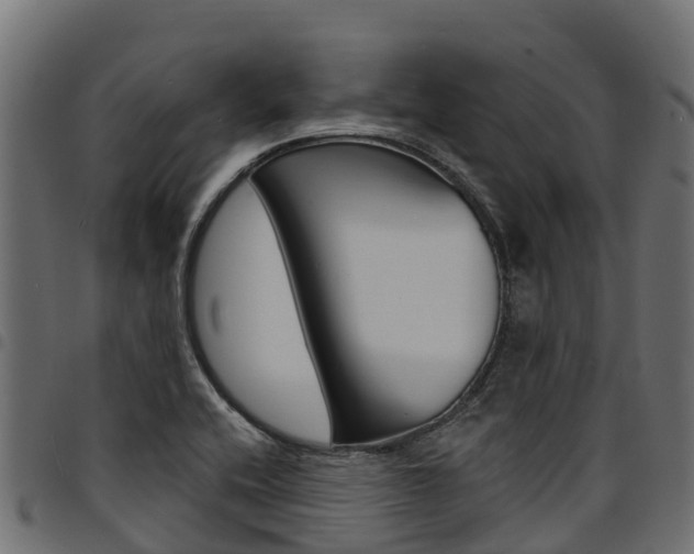 X0000094961416200711291117