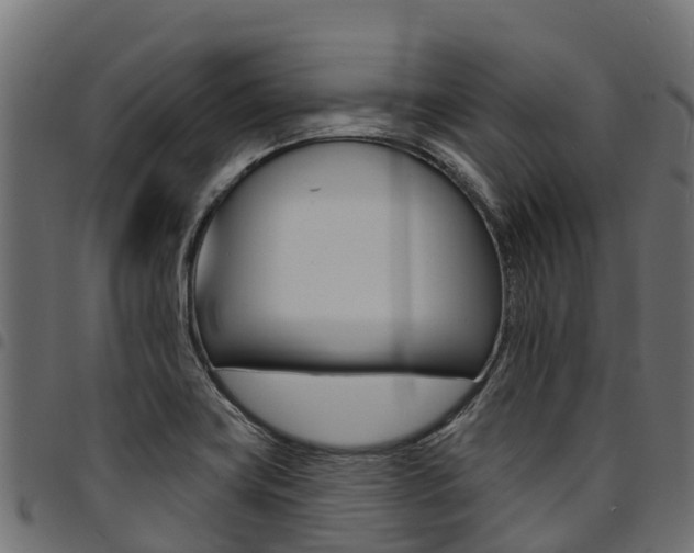 X0000094961419200711291117