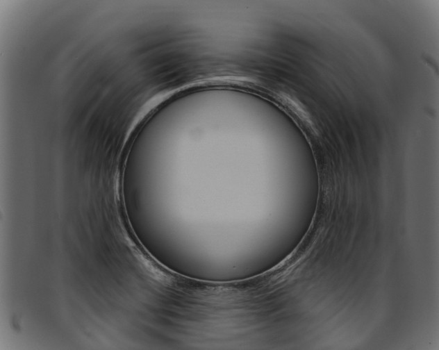 X0000094961420200711291117