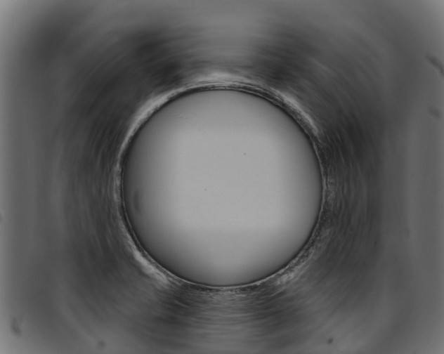 X0000094961421200711291117