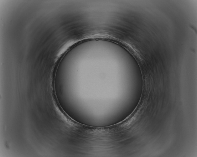 X0000094961422200711291117
