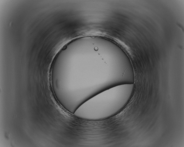 X0000094961423200711291117