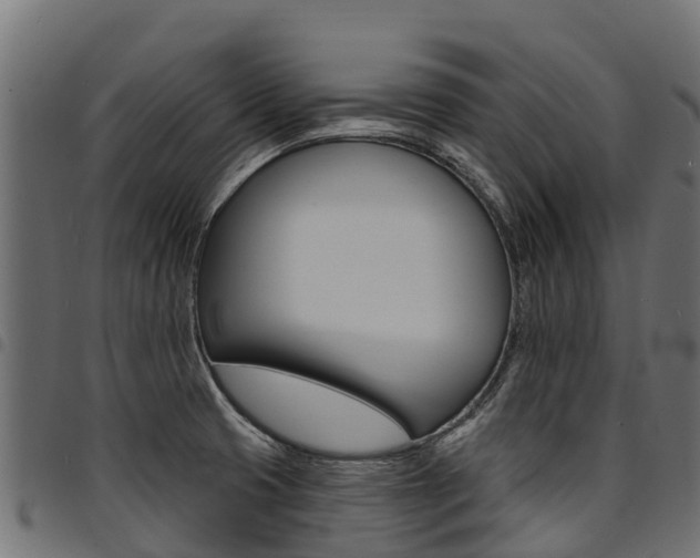 X0000094961425200711291117