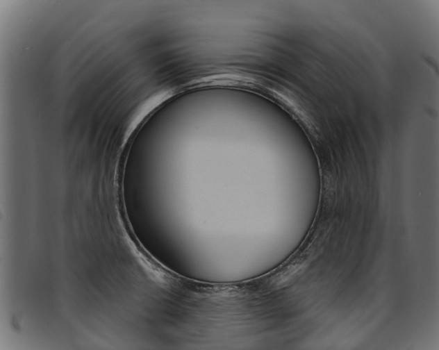 X0000094961426200711291117