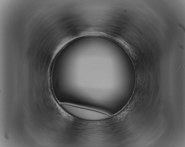 X0000094961430200711291118
