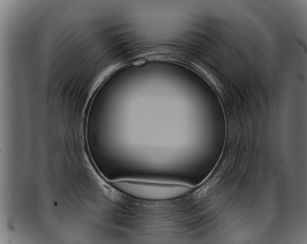 X0000094961434200711291118