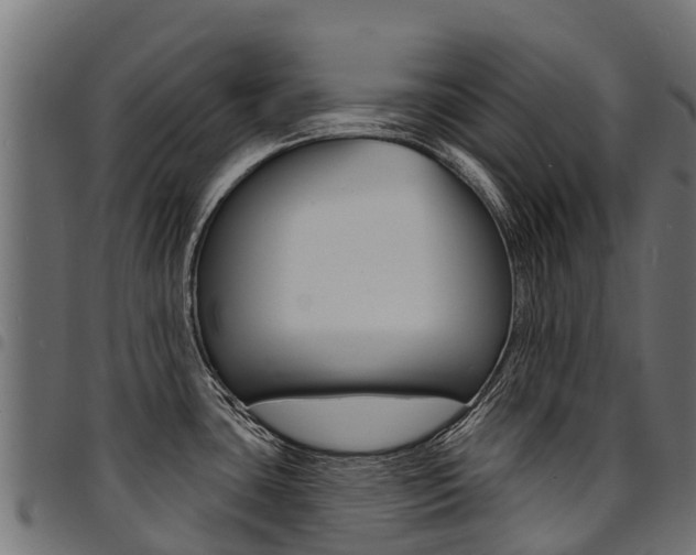 X0000094961435200711291118