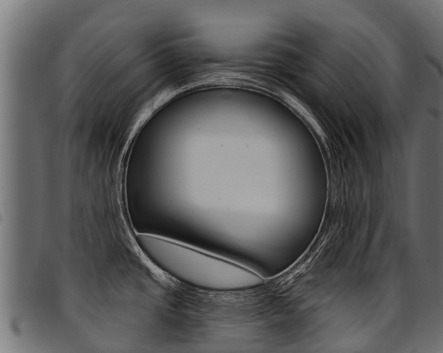 X0000094961437200711291118