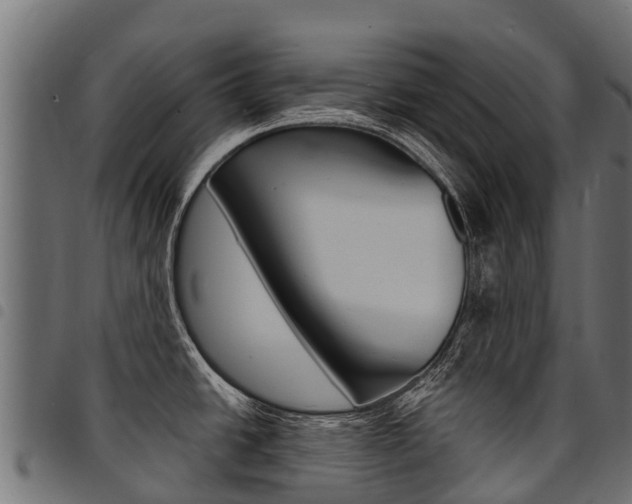 X0000094961438200711291118