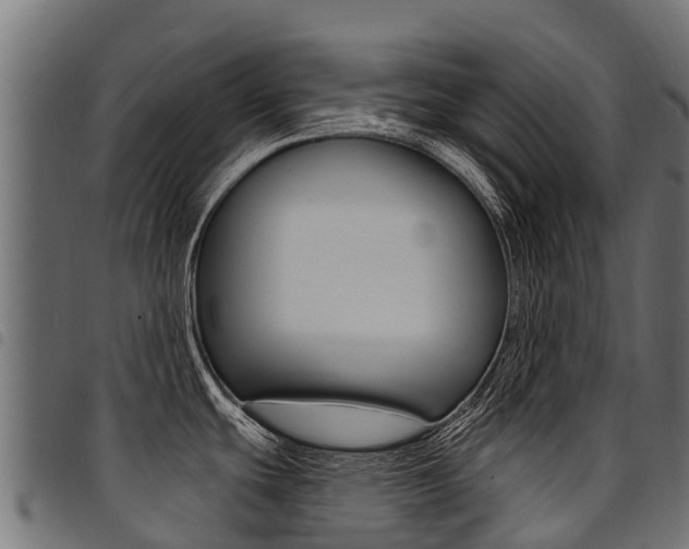 X0000094961439200711291118