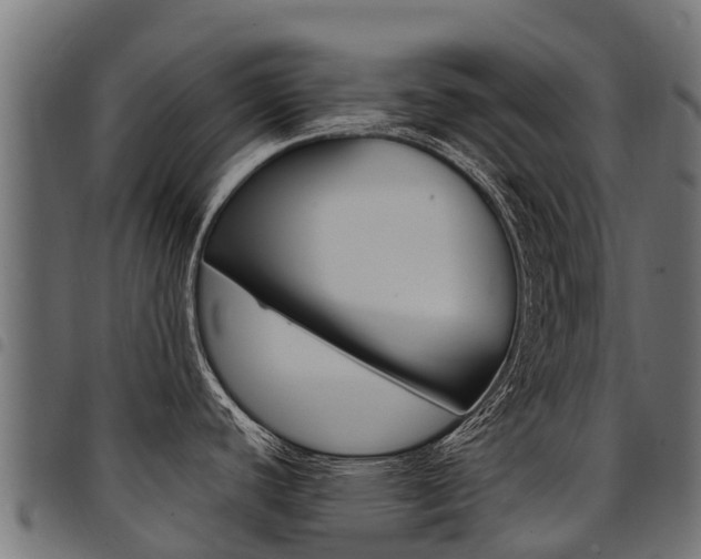 X0000094961440200711291118