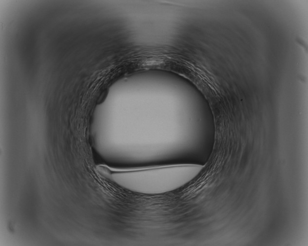 X0000094961441200711291117
