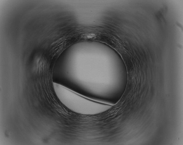 X0000094961442200711291117