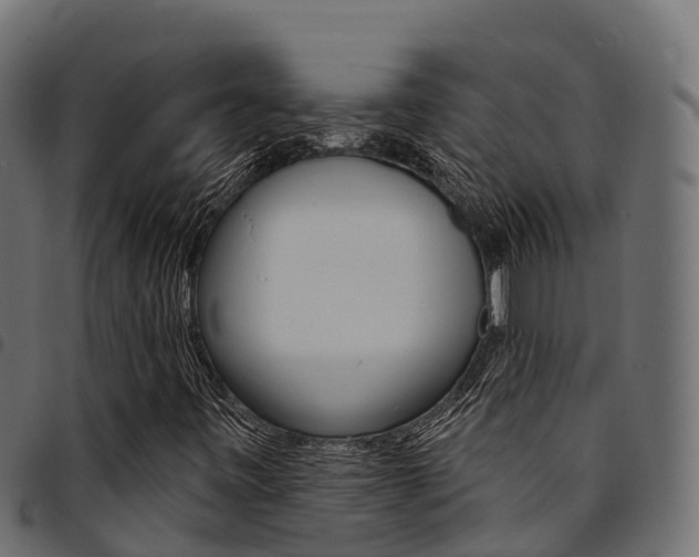 X0000094961443200711291117