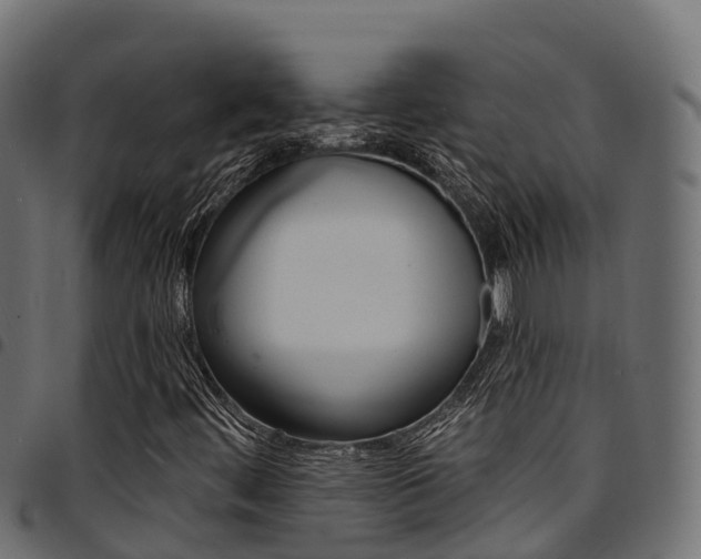 X0000094961444200711291117
