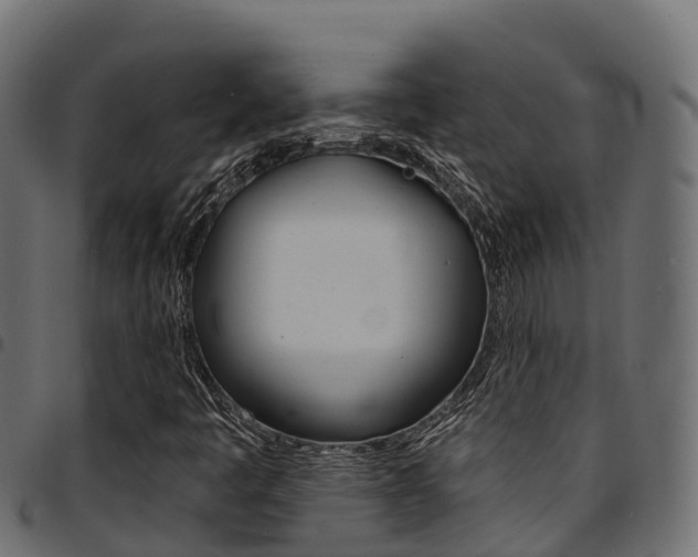 X0000094961445200711291117