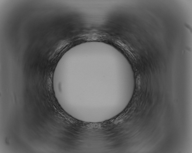 X0000094961446200711291117