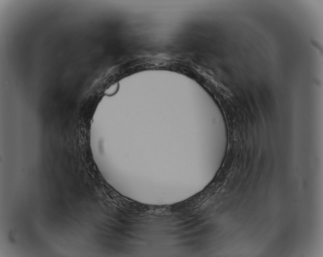 X0000094961447200711291117