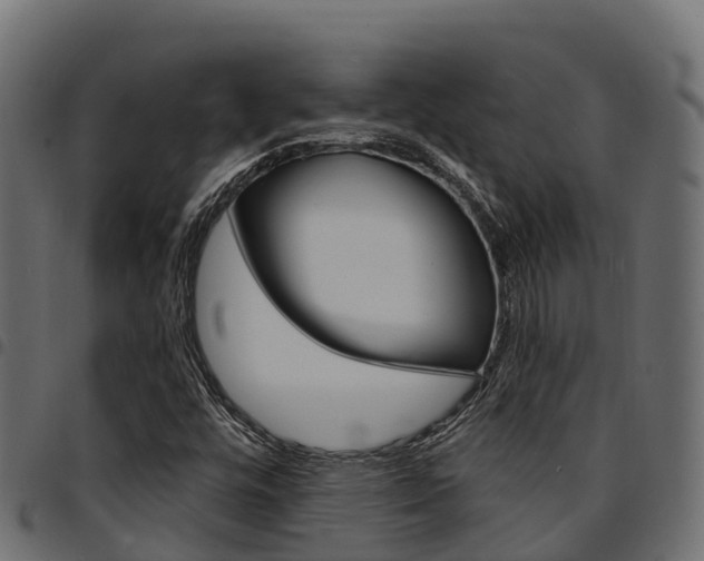 X0000094961448200711291117
