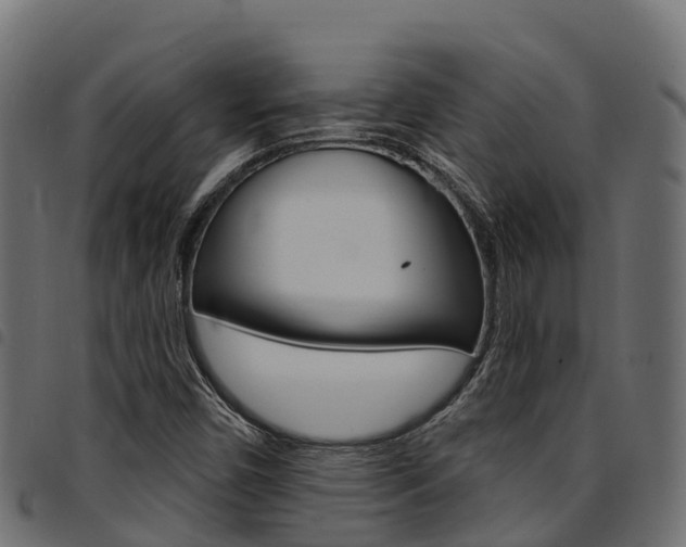 X0000094961450200711291117