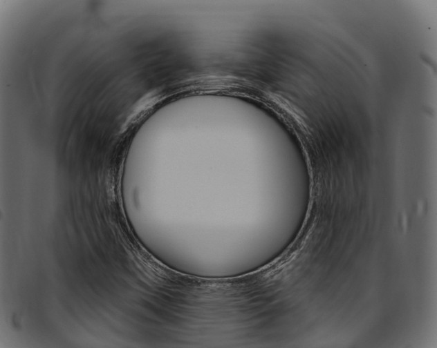X0000094961451200711291117