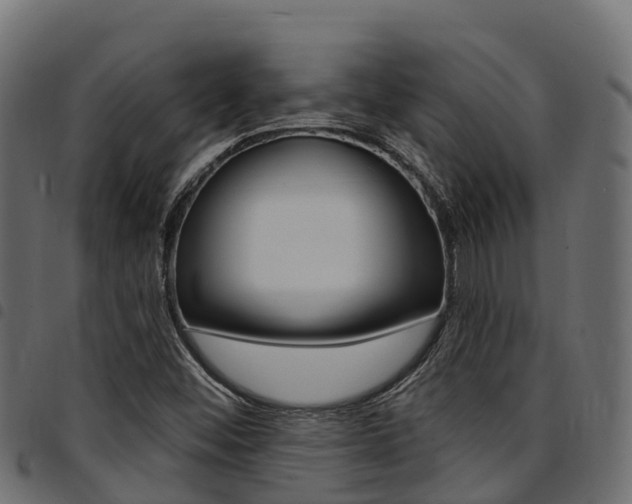 X0000094961452200711291117